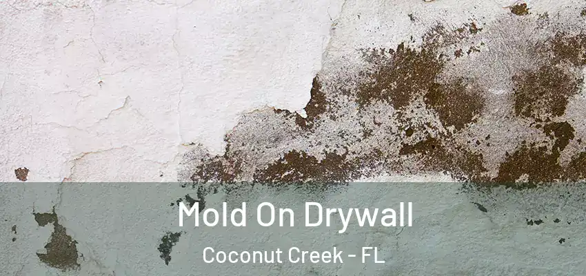 Mold On Drywall Coconut Creek - FL