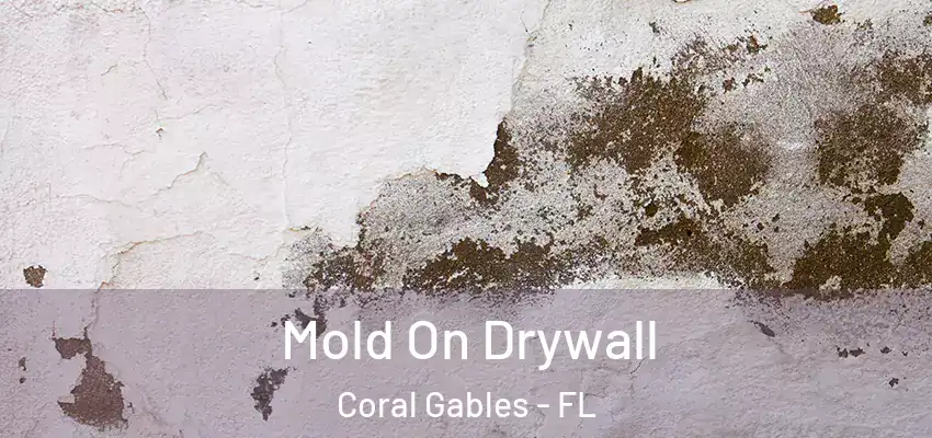  Mold On Drywall Coral Gables - FL