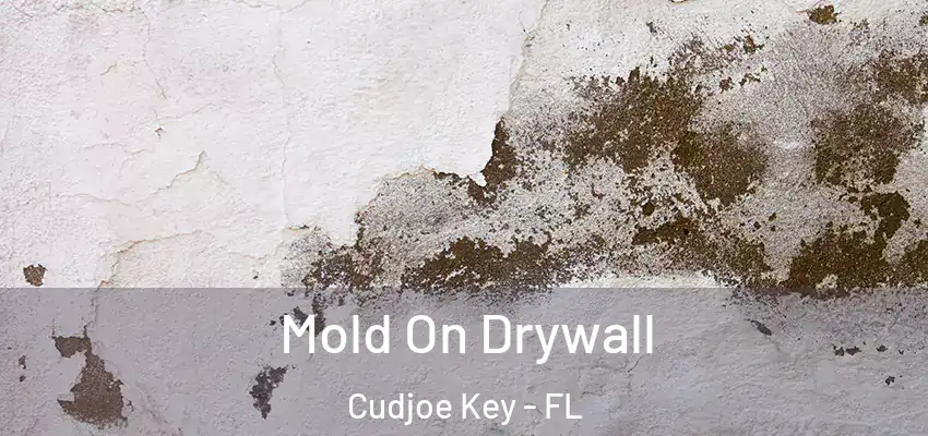  Mold On Drywall Cudjoe Key - FL