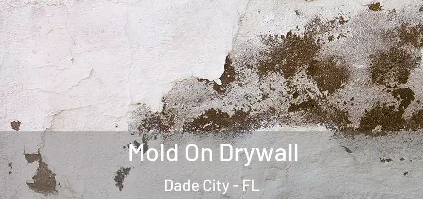  Mold On Drywall Dade City - FL