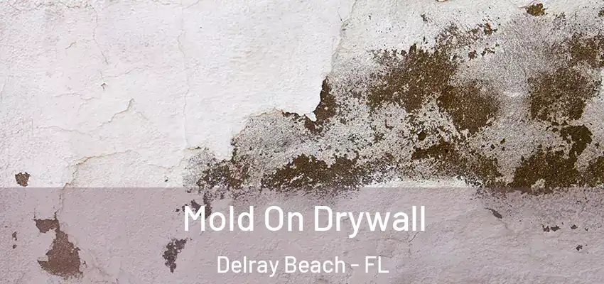  Mold On Drywall Delray Beach - FL