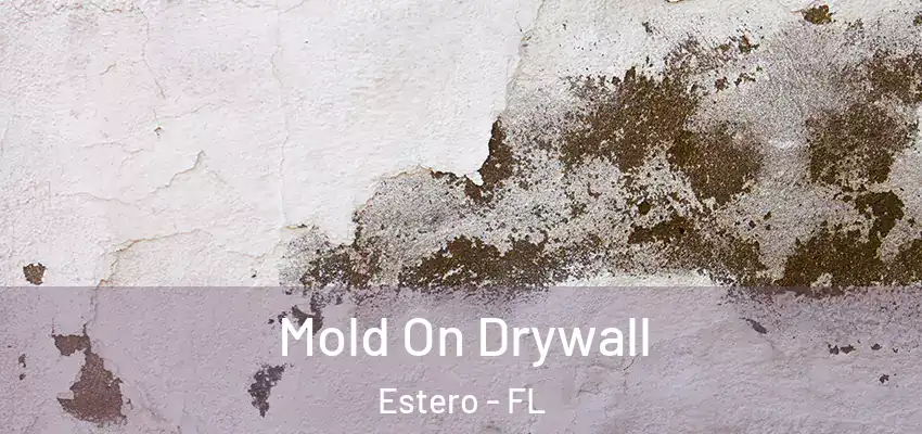 Mold On Drywall Estero - FL