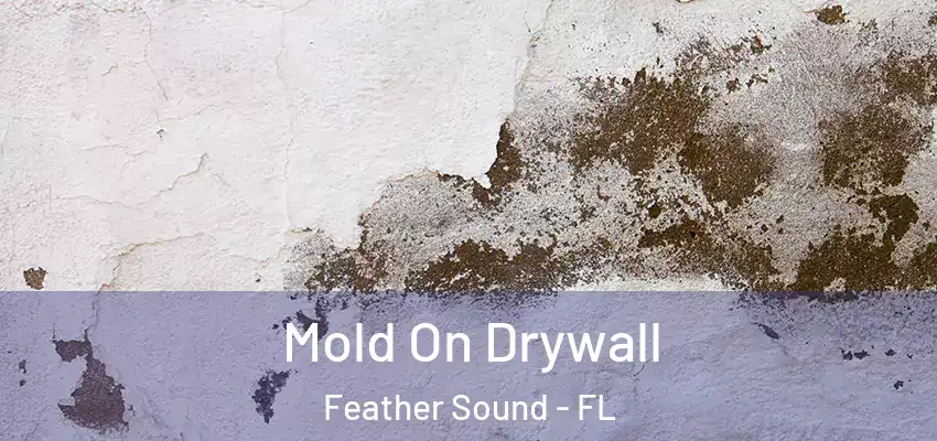 Mold On Drywall Feather Sound - FL