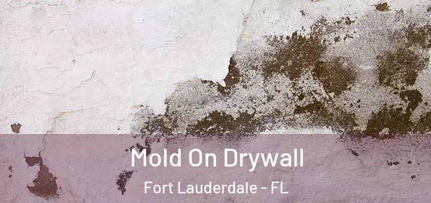 Mold On Drywall Fort Lauderdale - FL