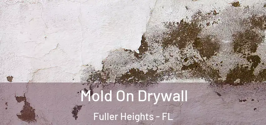 Mold On Drywall Fuller Heights - FL
