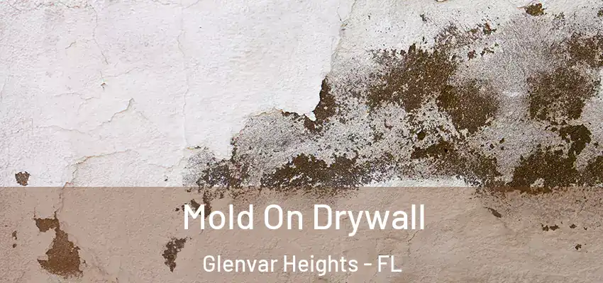 Mold On Drywall Glenvar Heights - FL