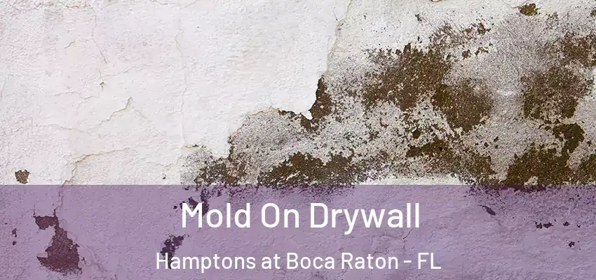  Mold On Drywall Hamptons at Boca Raton - FL