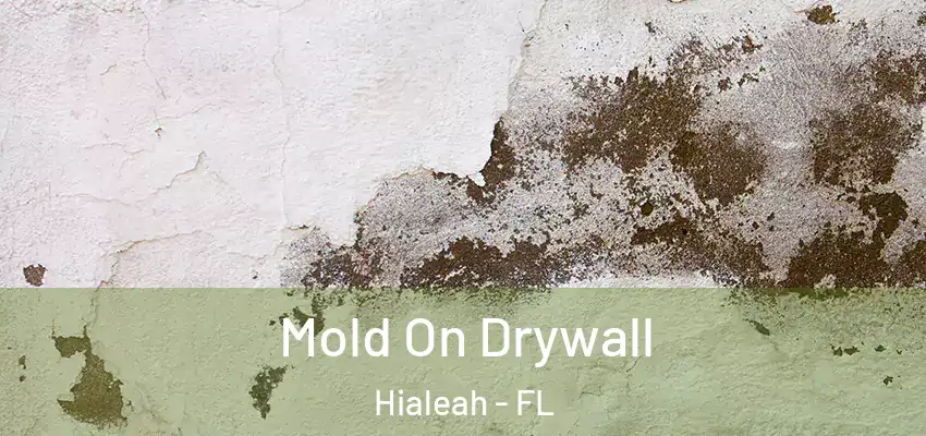 Mold On Drywall Hialeah - FL