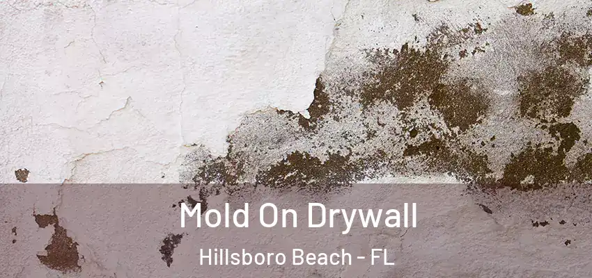 Mold On Drywall Hillsboro Beach - FL