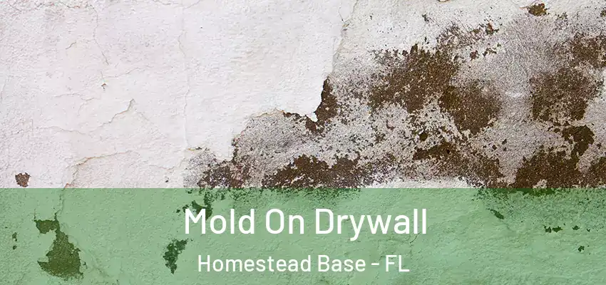  Mold On Drywall Homestead Base - FL