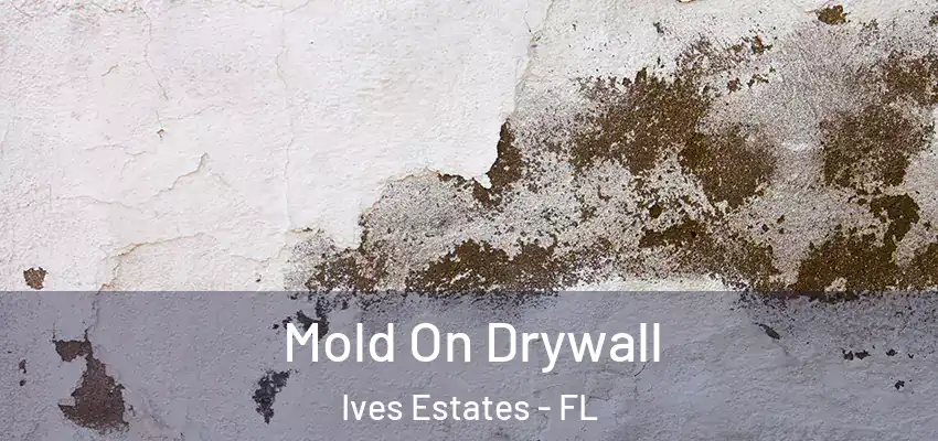  Mold On Drywall Ives Estates - FL