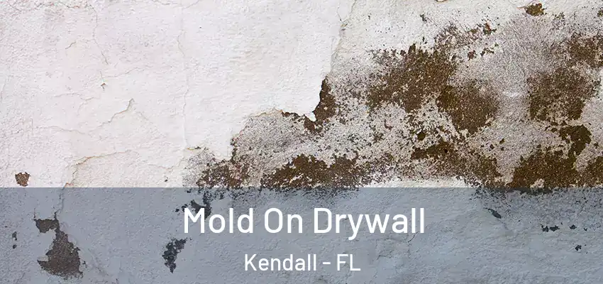 Mold On Drywall Kendall - FL