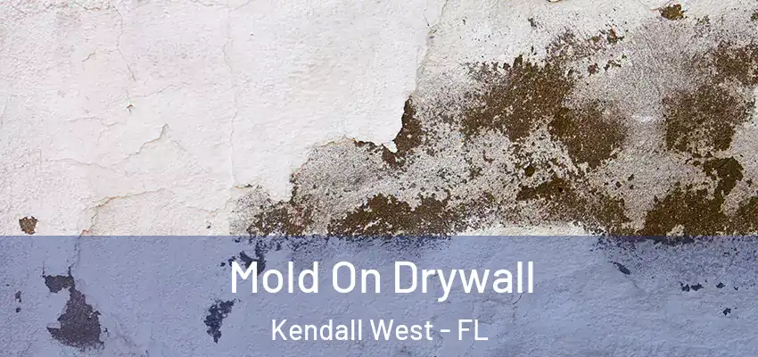  Mold On Drywall Kendall West - FL