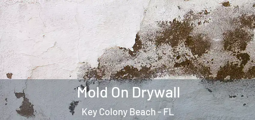  Mold On Drywall Key Colony Beach - FL