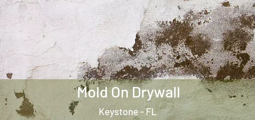 Mold On Drywall Keystone - FL