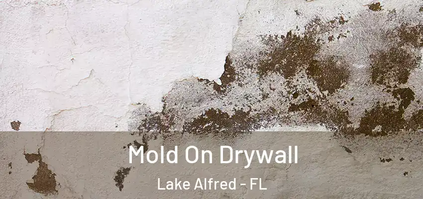  Mold On Drywall Lake Alfred - FL