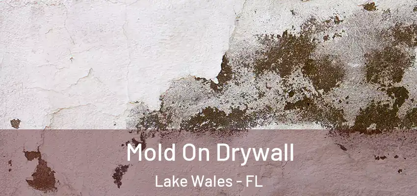 Mold On Drywall Lake Wales - FL