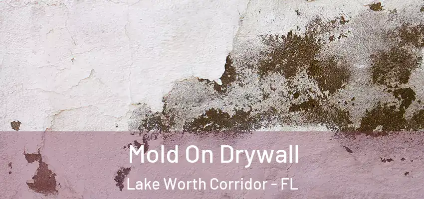 Mold On Drywall Lake Worth Corridor - FL