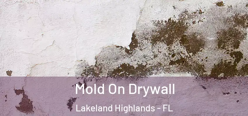 Mold On Drywall Lakeland Highlands - FL