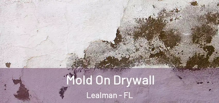 Mold On Drywall Lealman - FL