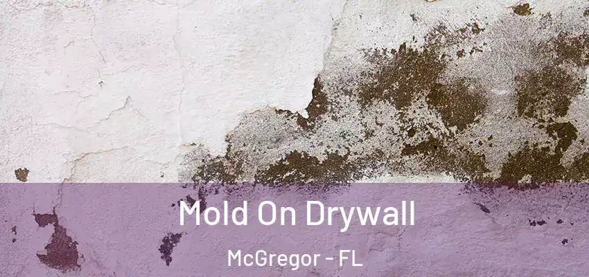 Mold On Drywall McGregor - FL