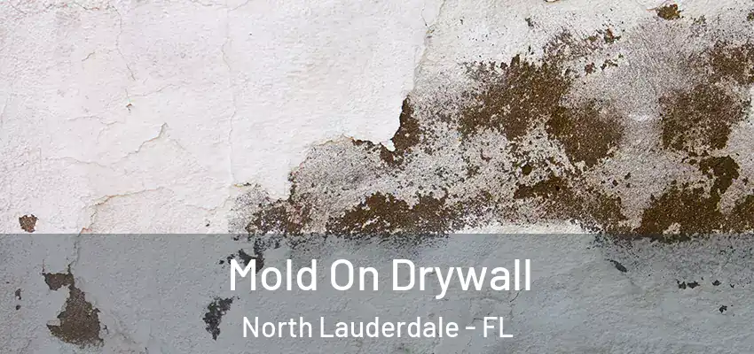  Mold On Drywall North Lauderdale - FL