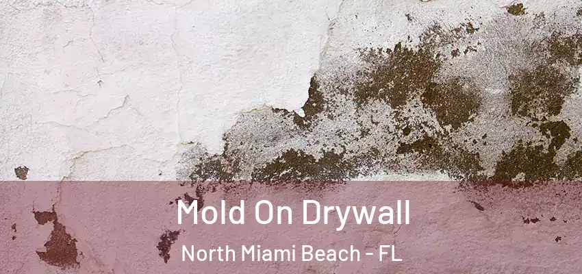 Mold On Drywall North Miami Beach - FL