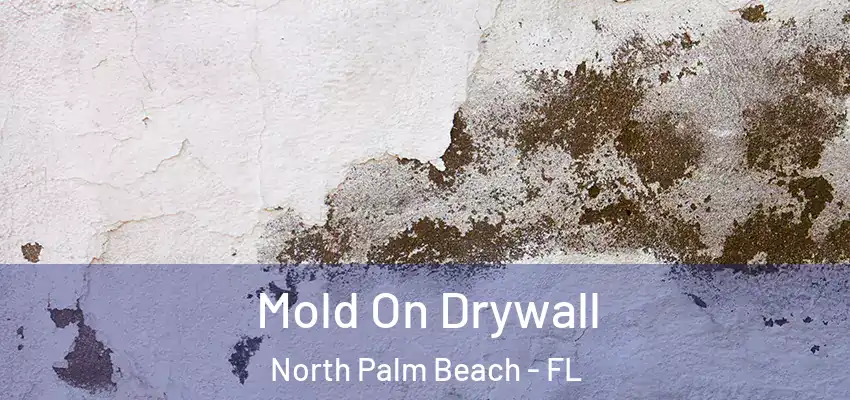  Mold On Drywall North Palm Beach - FL