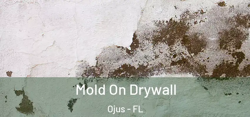 Mold On Drywall Ojus - FL