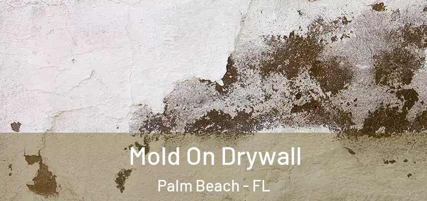  Mold On Drywall Palm Beach - FL