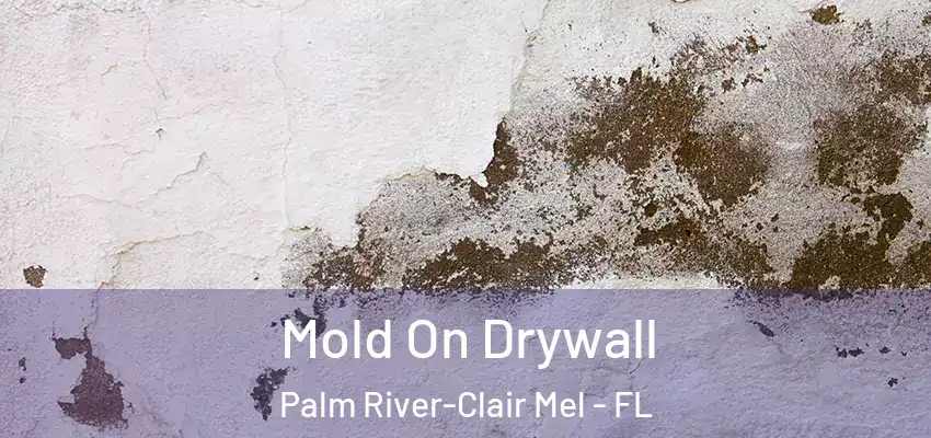  Mold On Drywall Palm River-Clair Mel - FL