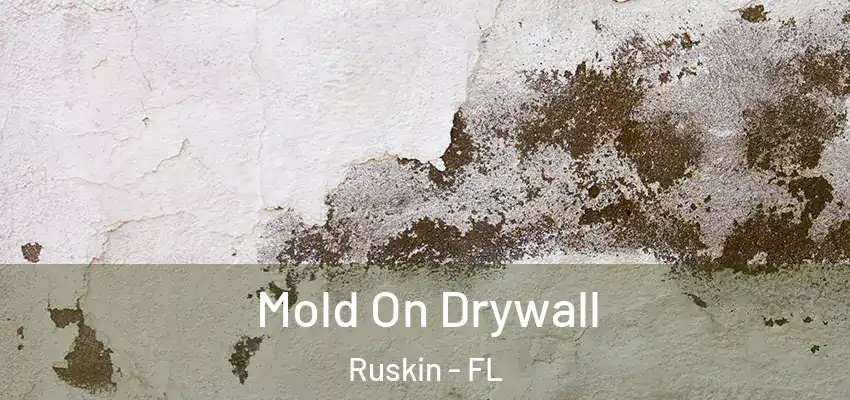  Mold On Drywall Ruskin - FL