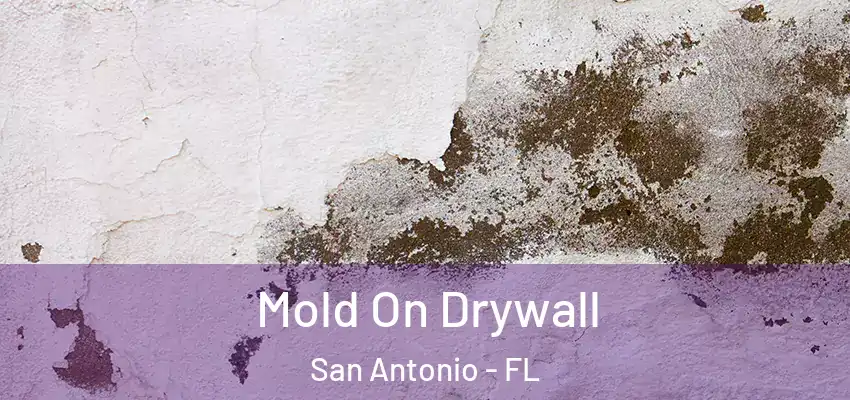 Mold On Drywall San Antonio - FL