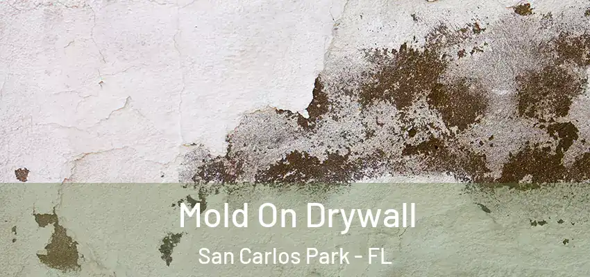 Mold On Drywall San Carlos Park - FL