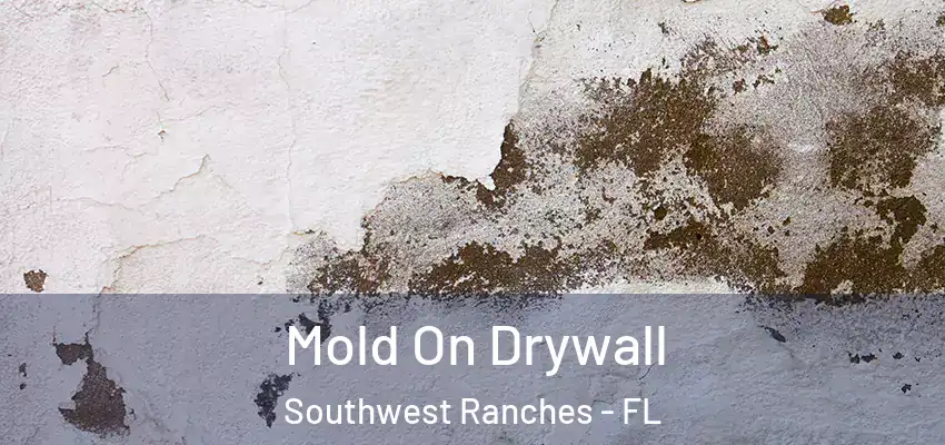  Mold On Drywall Southwest Ranches - FL