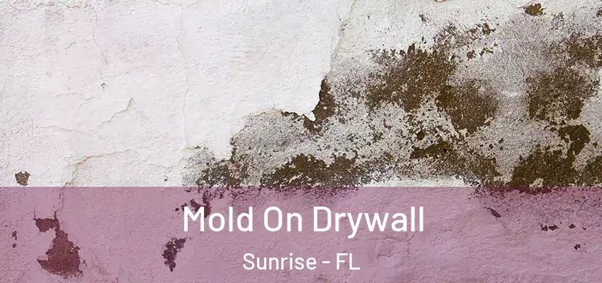  Mold On Drywall Sunrise - FL