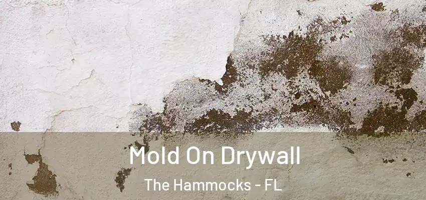  Mold On Drywall The Hammocks - FL