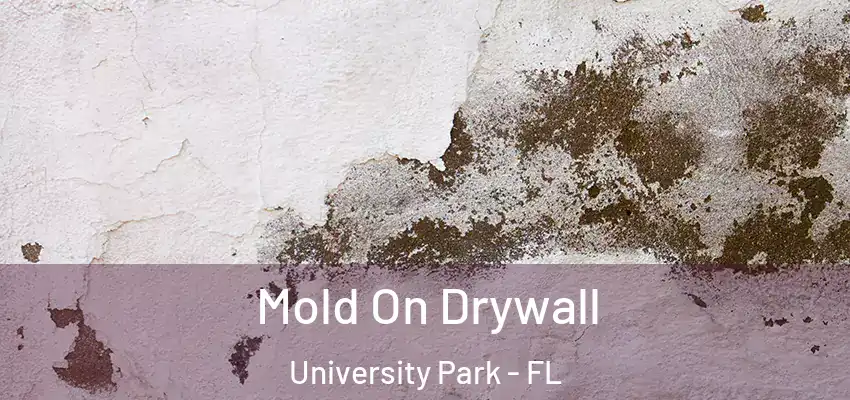 Mold On Drywall University Park - FL