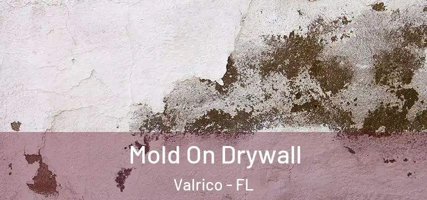 Mold On Drywall Valrico - FL
