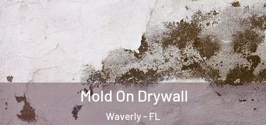  Mold On Drywall Waverly - FL