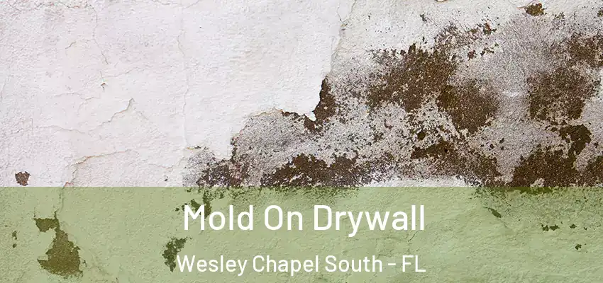 Mold On Drywall Wesley Chapel South - FL