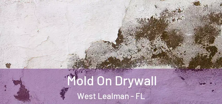  Mold On Drywall West Lealman - FL