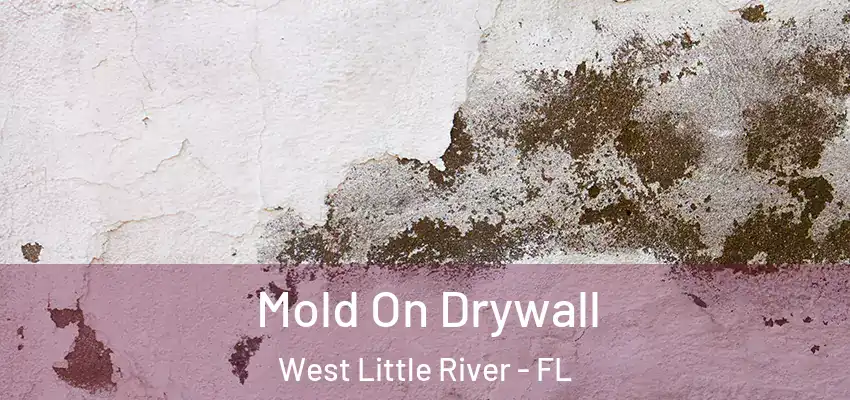 Mold On Drywall West Little River - FL