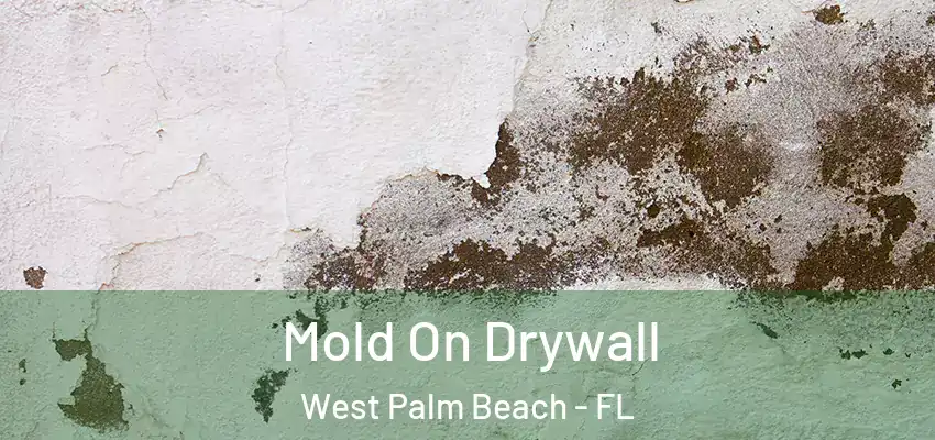  Mold On Drywall West Palm Beach - FL
