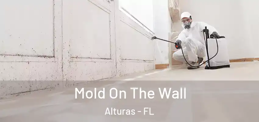 Mold On The Wall Alturas - FL