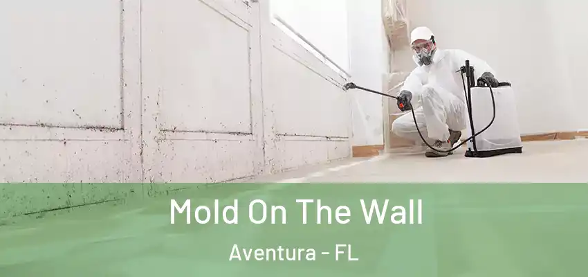  Mold On The Wall Aventura - FL