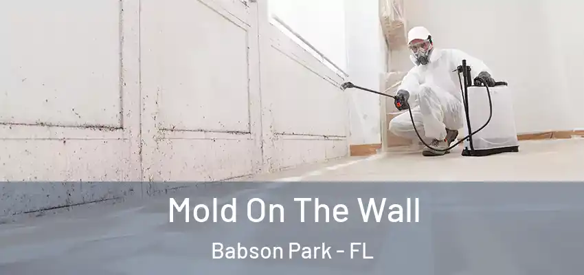 Mold On The Wall Babson Park - FL