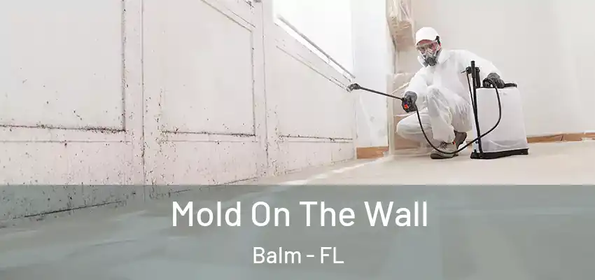  Mold On The Wall Balm - FL