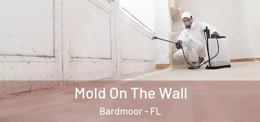  Mold On The Wall Bardmoor - FL