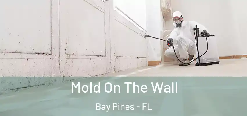 Mold On The Wall Bay Pines - FL